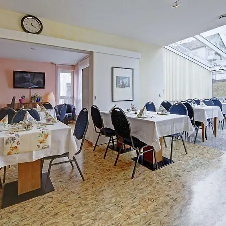 Airport-hotel Stetten 3*